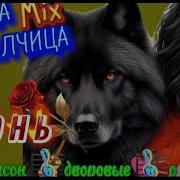 Подборка Лучших Песен По Просьбе Подписчиков Mix Львица Волчица