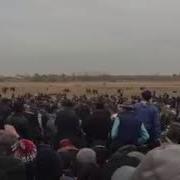 Яккабог Купкари