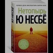 Несбе Нетопырь