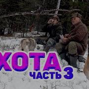 Кедровые Орехи