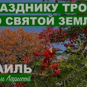 Песни Про Землю