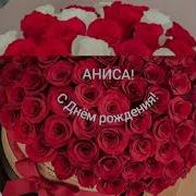 Зодруз Муборак Аниса