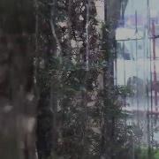 Жаз Айы Жамгыр Басылбай