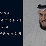 Маьун Сураси Мр3