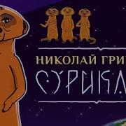 Сурикаты Гринько