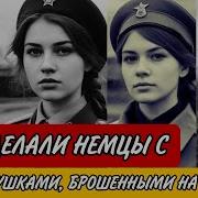 Истории Жевушек