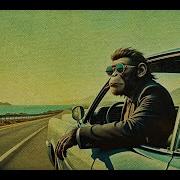 On The Road Again Groove Monkey