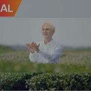 봄 그리고 너
