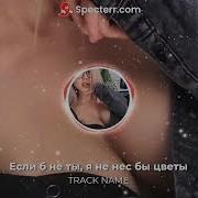 Если Б Не Ты Я Не Нес Бы Цветы