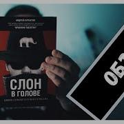 Слон В Голове