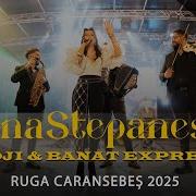 Banat Expres