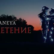 Сплетение Aneya