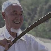 Вафа Мавлютов