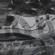 Snake City Too Old For Puppy Love