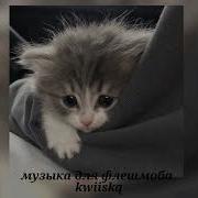 Песни Speed Up