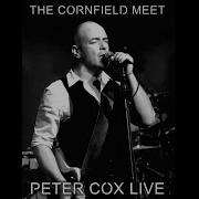 Peter Cox A Lover Is Forever