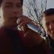 Jonli Ijrolar Toyda