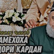 Зан Намехоха Хонадори Кардан Хочи Мирзо 2018 Саволу Чавоб