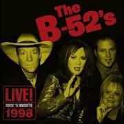 Rock Lobster Live