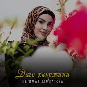 Петимат Хамзатова Даго Хаьржина