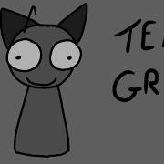 Temu Gray