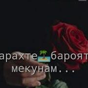 Хушбахти