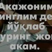 Ака Ва Сингил Хакида Шер