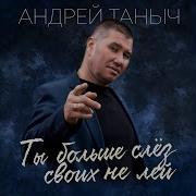 Андрей Таныч Сборник Песен