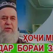 Хочи Мирзо Дар Бораи Зан 2019