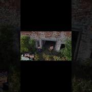 Gorebox Sergionis