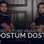 Ferid Fuad Dostum