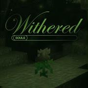 Withered Soul Super Slowed