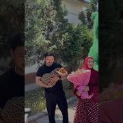 Mehmon