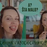 Русско Сербский Разговорник