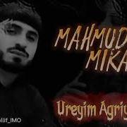 Mahmud Mikayilli Ureyim Agriyir Ana