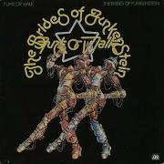 Brides Of Funkenstein Funk Or Walk 1978 Full Album