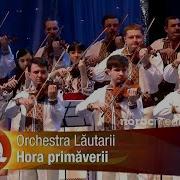 Orchestra Culiandra Hora Primavefii Scaciati