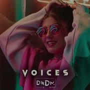 Voices Dndm