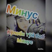 Туй Боб Минус