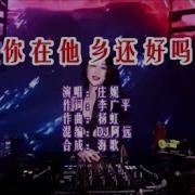 你在他乡还好吗Dj