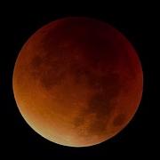 Moon Ec