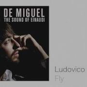 David De Miguel Fly