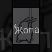 У Меня На Ж Ж Ем Картошку Без Укропа Оригинал