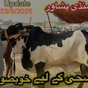 Zuha