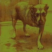 Shame On You Alice In Chains