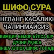 Шифо Сураси
