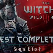 Witcher 3 Mission Complete Sound