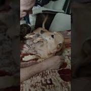 А Я Поняла Ты Умственно Отсталый
