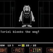 Toriel Fight
