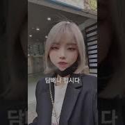 킼킼이